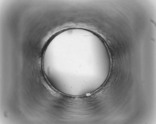 X0000098131503200805080947