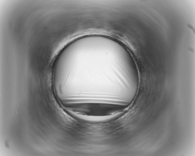 X0000098131504200805080947