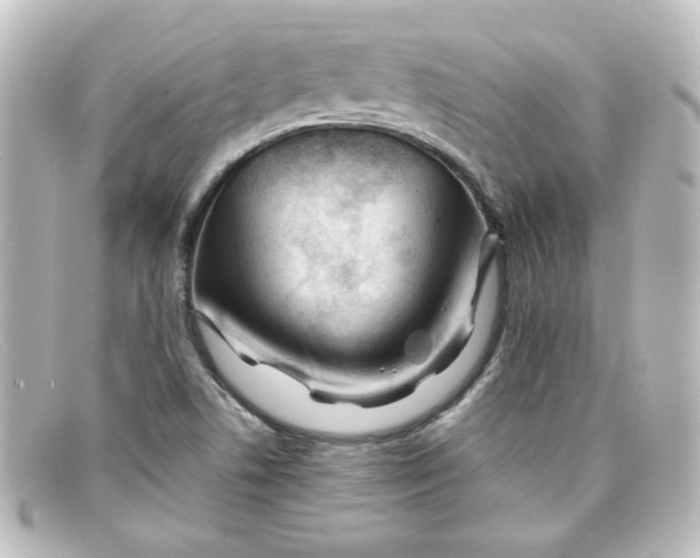 X0000098131506200805080947