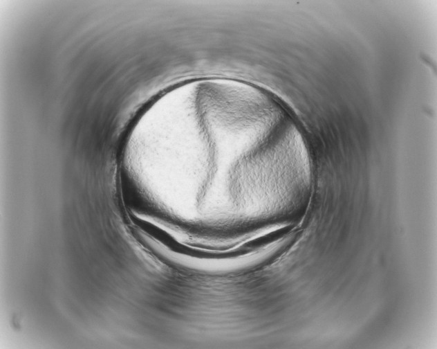 X0000098131507200805080947