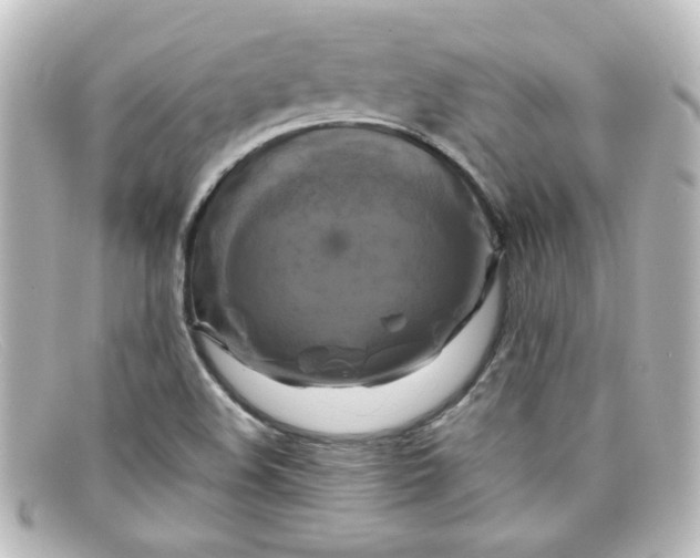 X0000098131508200805080947