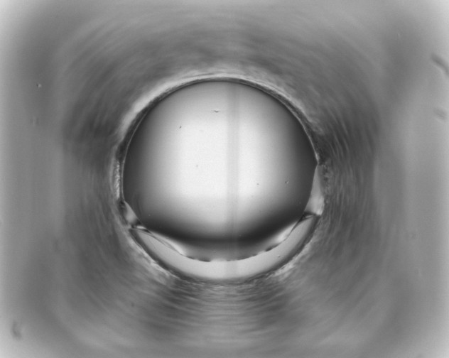 X0000098131510200805080947