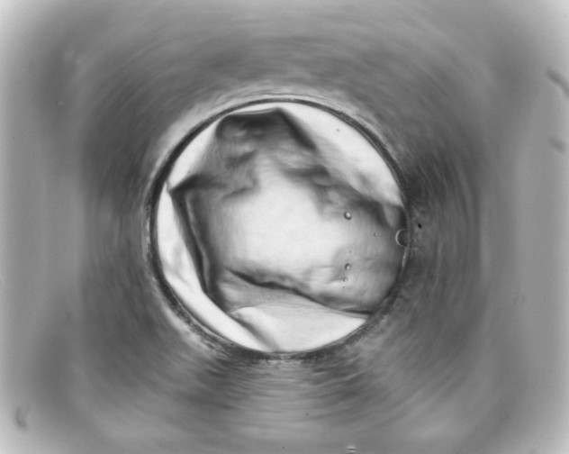 X0000098131511200805080947