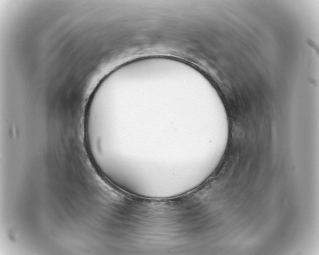 X0000098131512200805080947