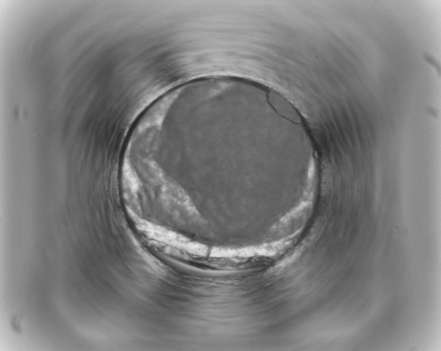 X0000098131513200805080947