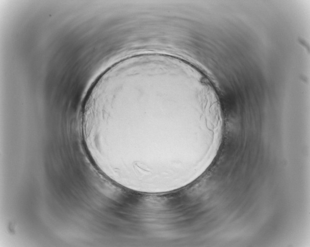 X0000098131514200805080947