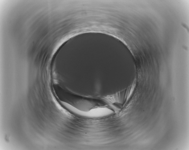 X0000098131515200805080947