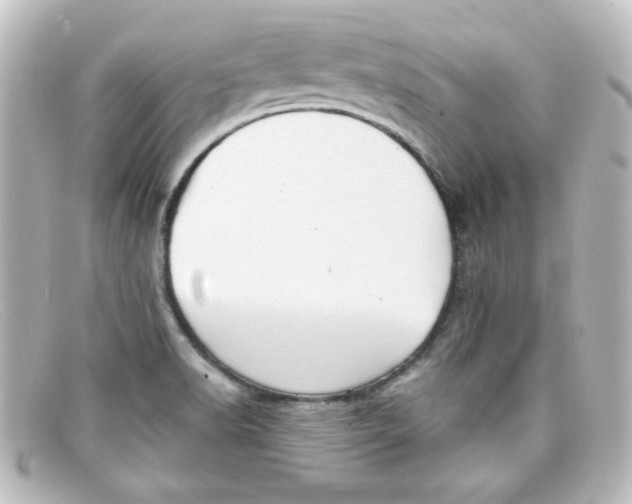 X0000098131518200805080947