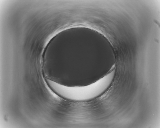 X0000098131519200805080947