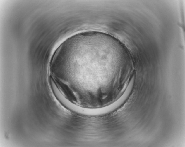X0000098131520200805080947
