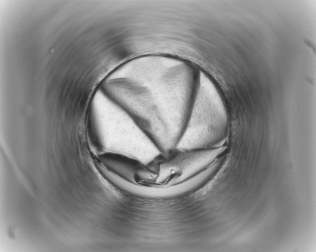 X0000098131521200805080947