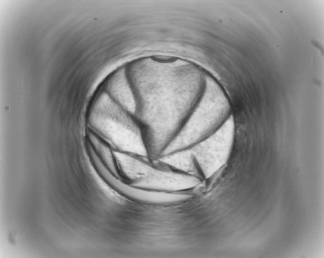 X0000098131523200805080947