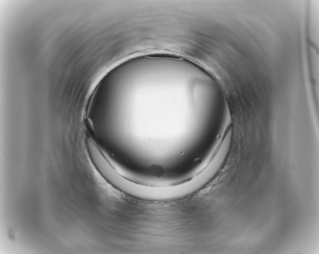 X0000098131524200805080948