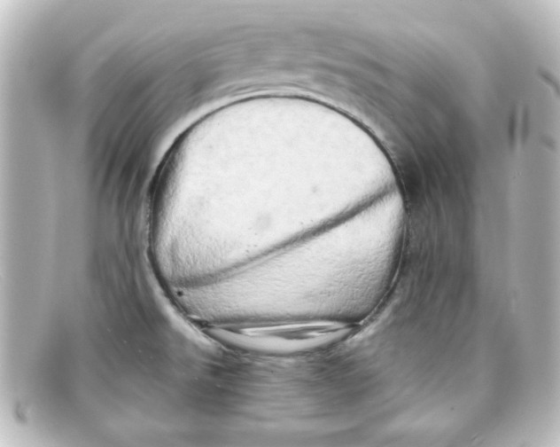 X0000098131526200805080948