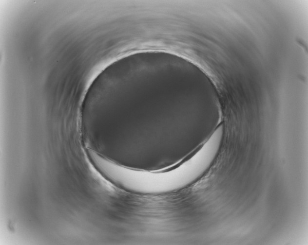 X0000098131527200805080948