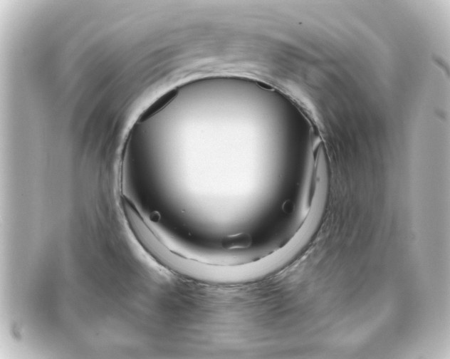 X0000098131528200805080948