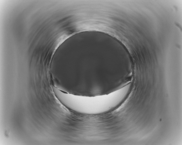 X0000098131529200805080948