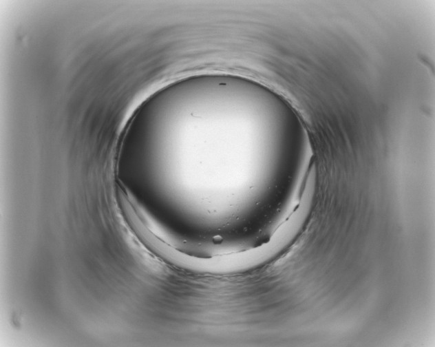 X0000098131530200805080948