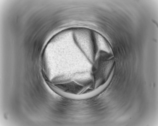 X0000098131531200805080948