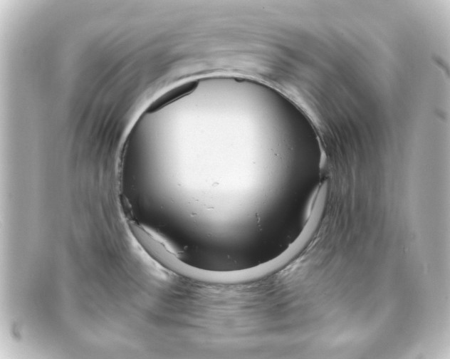 X0000098131532200805080948