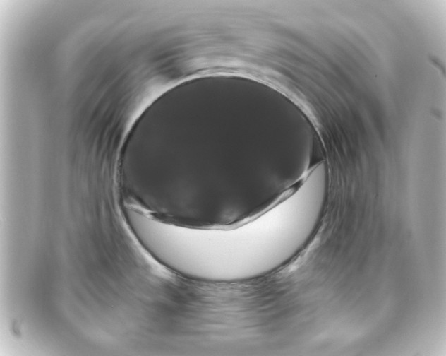 X0000098131533200805080948