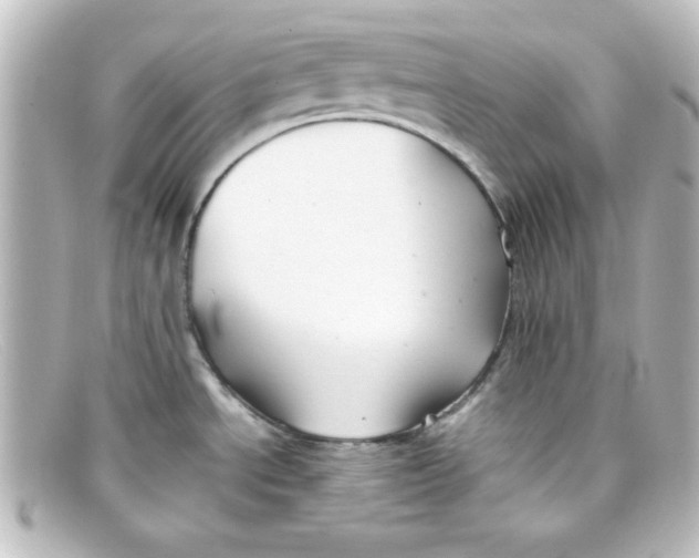 X0000098131534200805080948