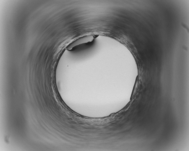 X0000098130001200805151127