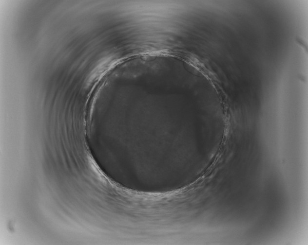 X0000098130002200805151127