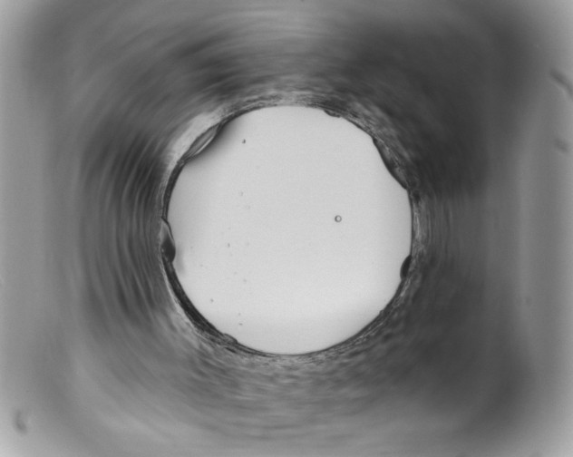 X0000098130003200805151127