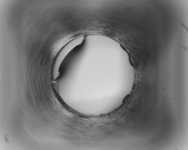 X0000098130005200805151127