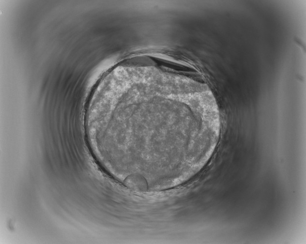 X0000098130006200805151127