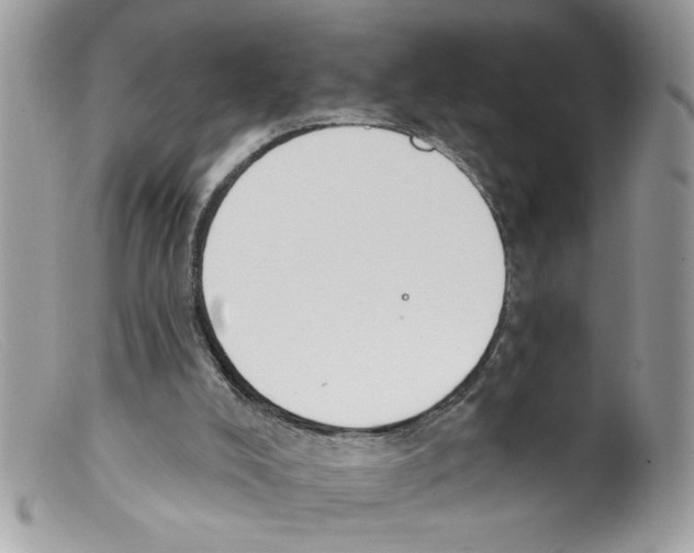 X0000098130008200805151127
