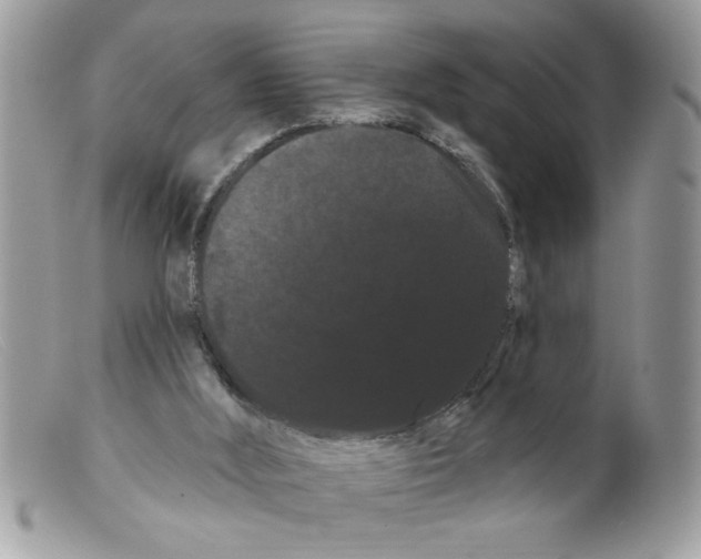 X0000098130012200805151127