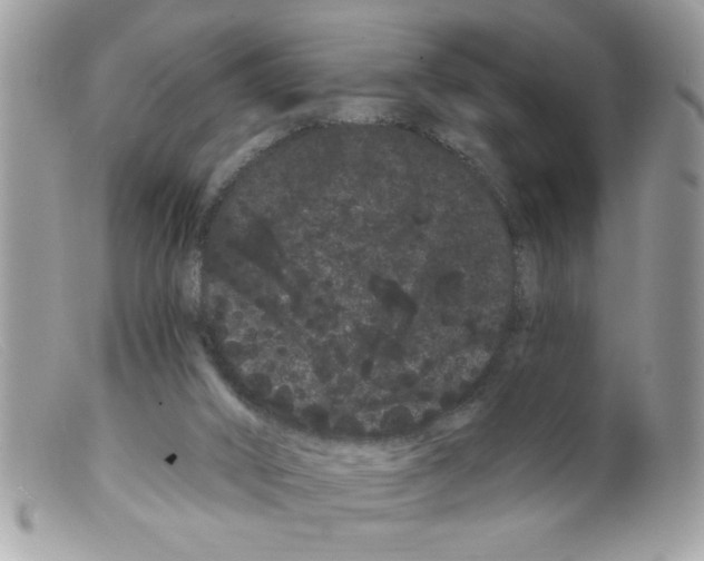 X0000098130016200805151127