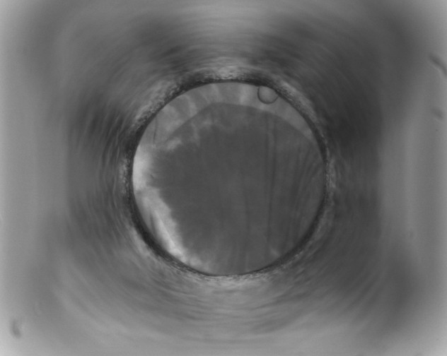 X0000098130018200805151127