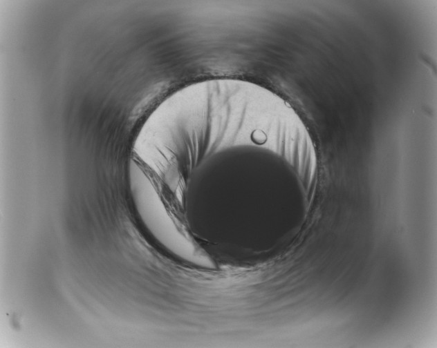 X0000098130019200805151127