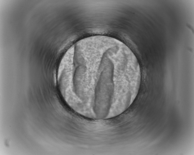 X0000098130020200805151127