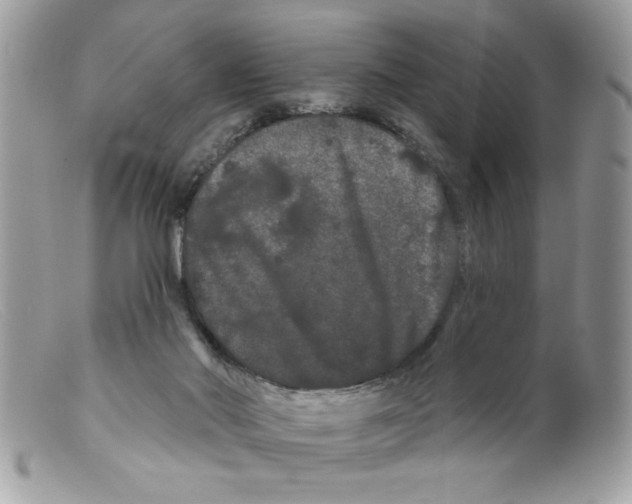 X0000098130022200805151127