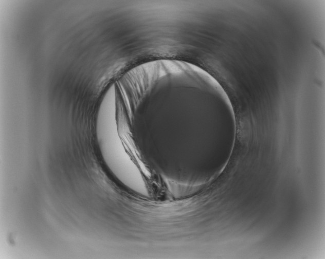 X0000098130023200805151126