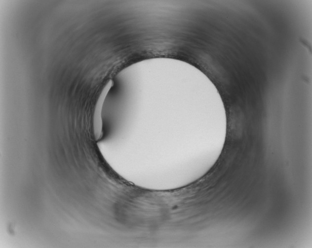 X0000098130025200805151126