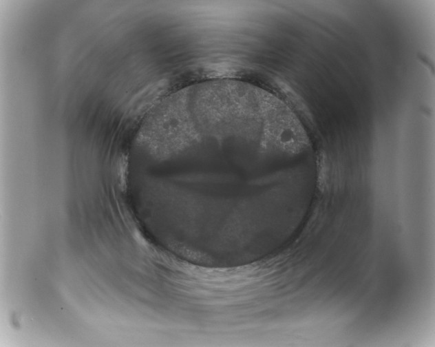 X0000098130026200805151126