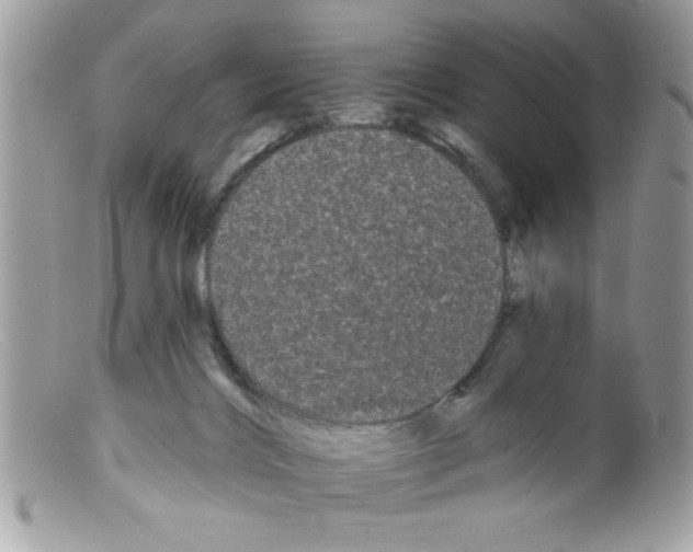 X0000098130028200805151126