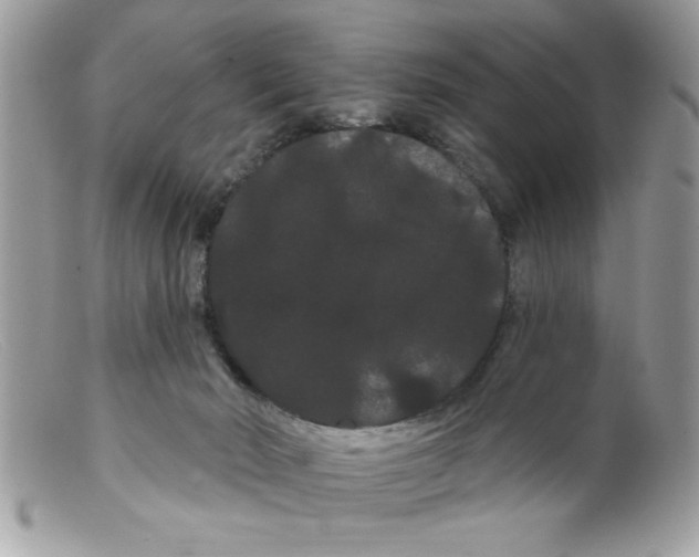 X0000098130030200805151126