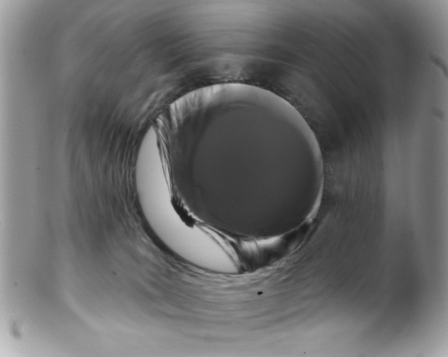 X0000098130035200805151126