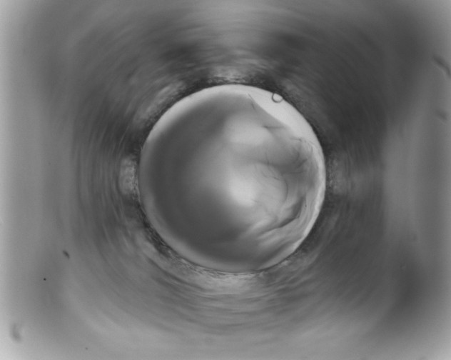 X0000098130036200805151126
