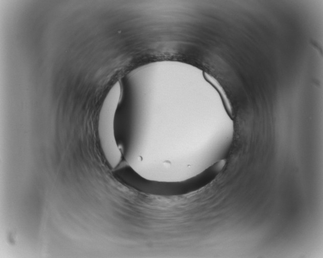 X0000098130037200805151126