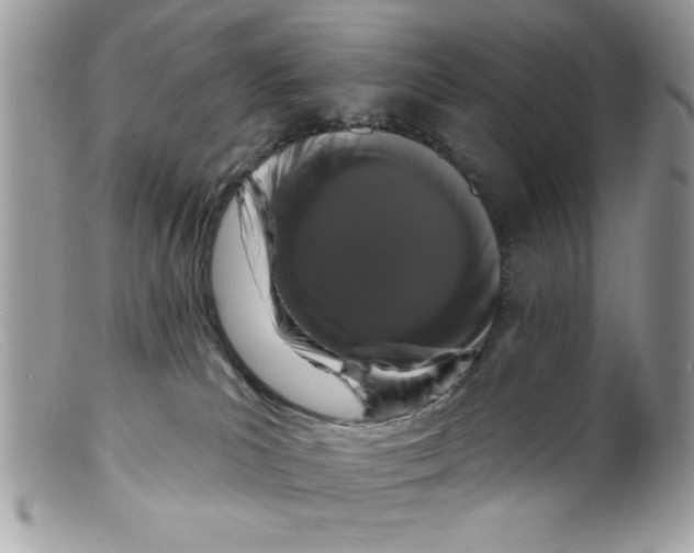 X0000098130039200805151126