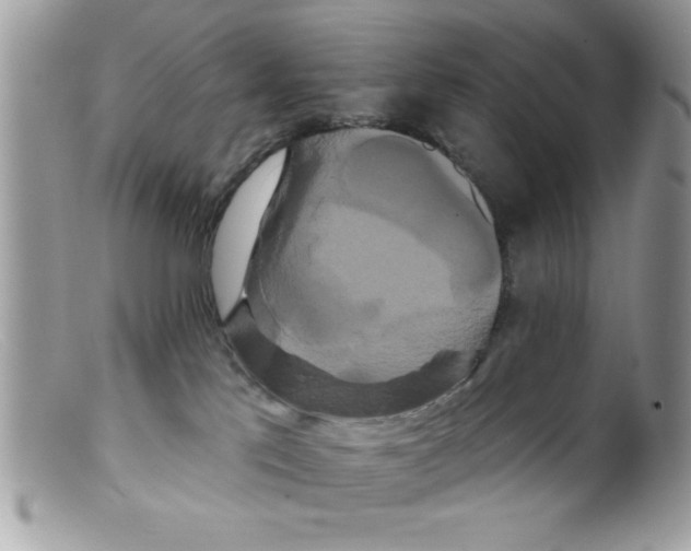 X0000098130041200805151126