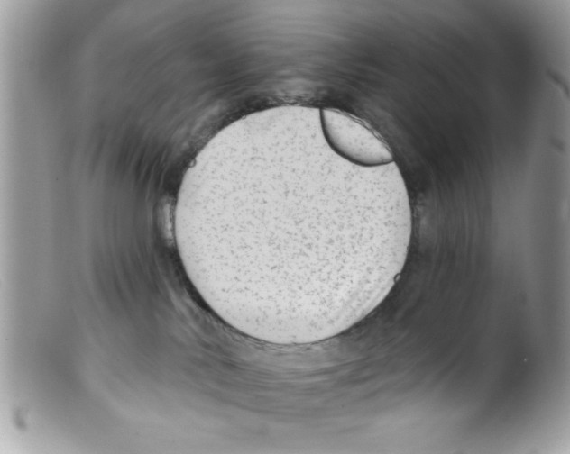 X0000098130042200805151126