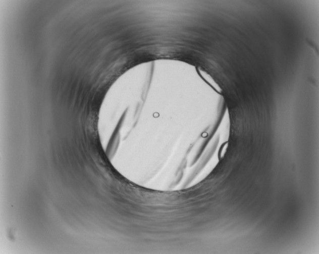 X0000098130044200805151126